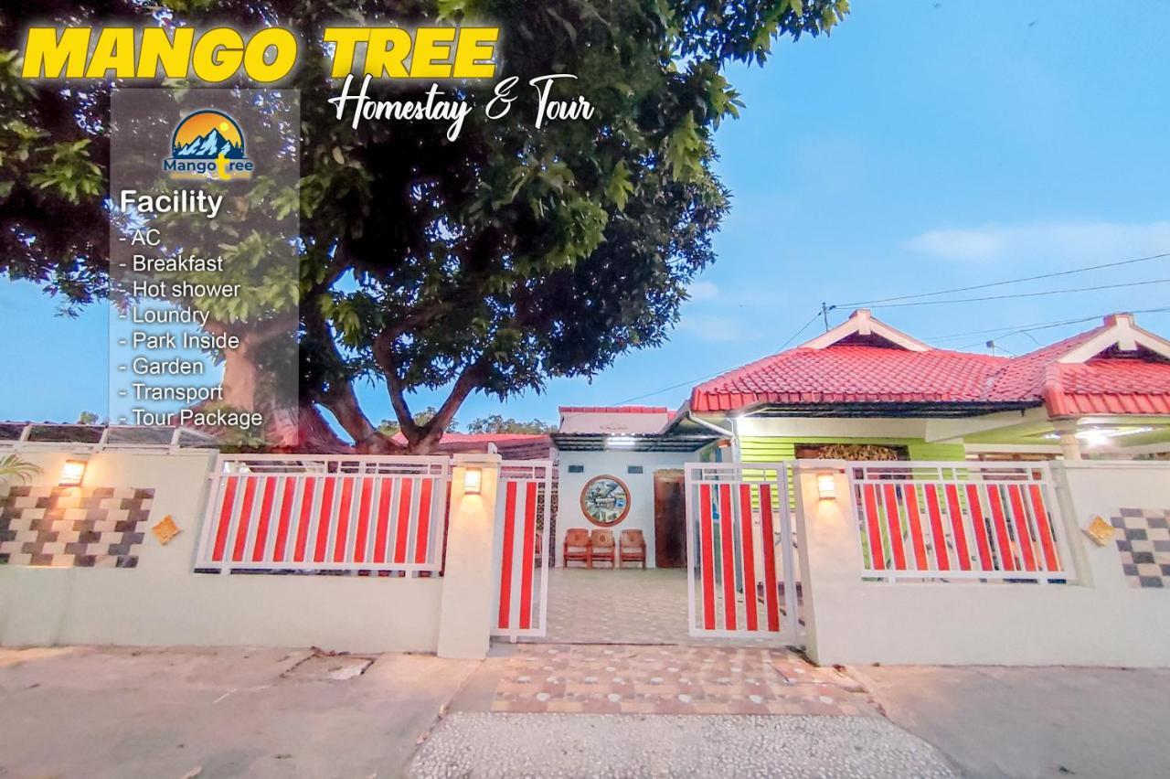 Mango Tree Homestay & Ijen Tour Banyuwangi  Buitenkant foto
