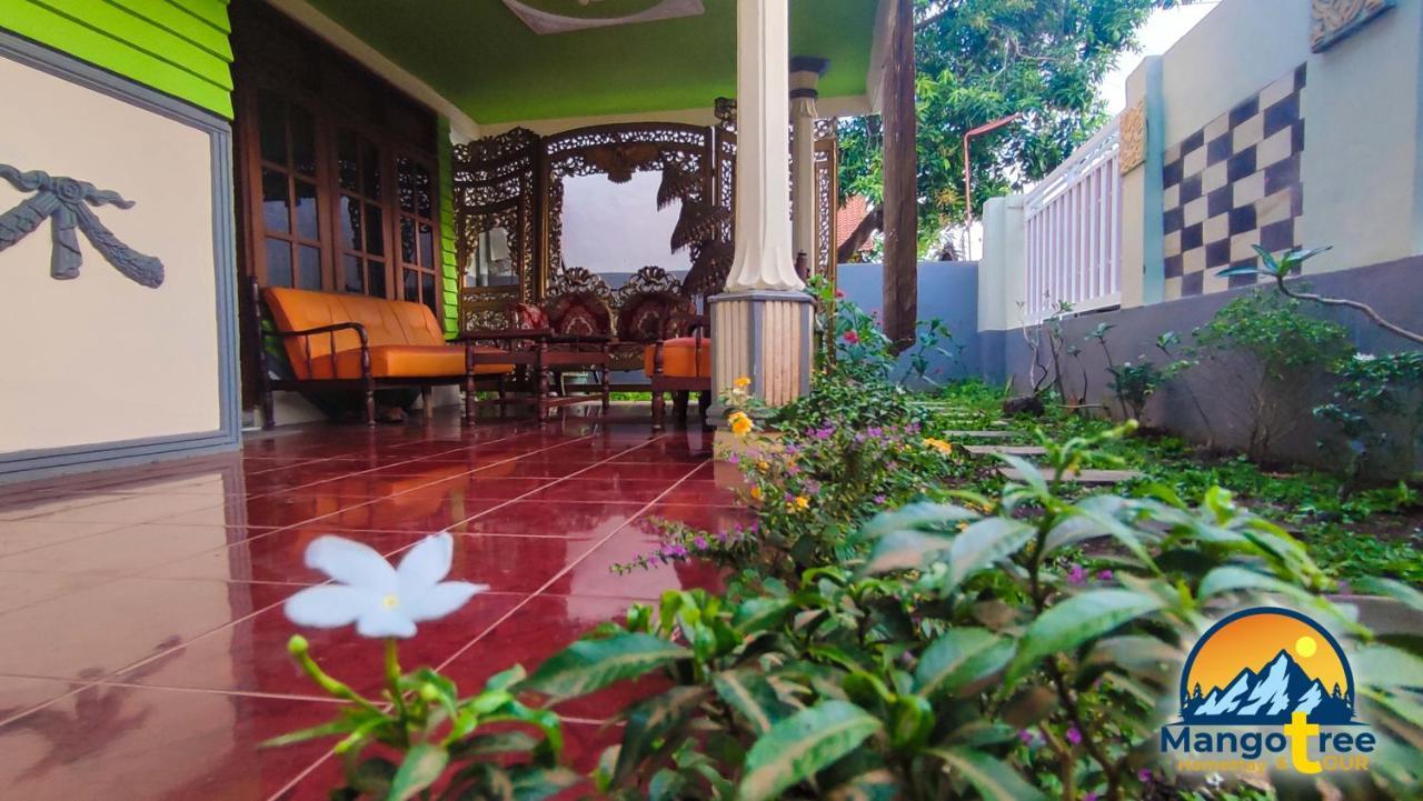 Mango Tree Homestay & Ijen Tour Banyuwangi  Buitenkant foto
