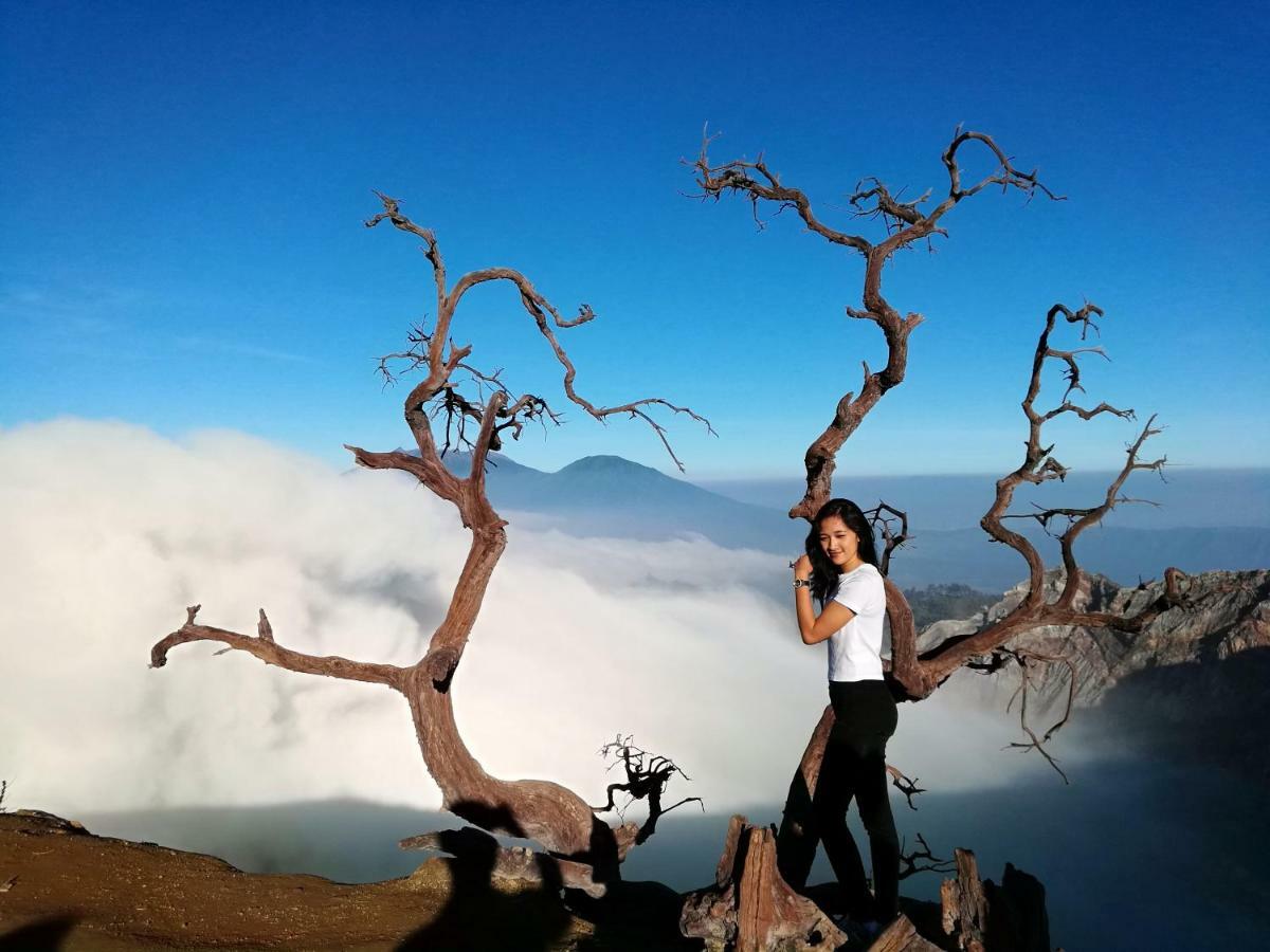 Mango Tree Homestay & Ijen Tour Banyuwangi  Buitenkant foto